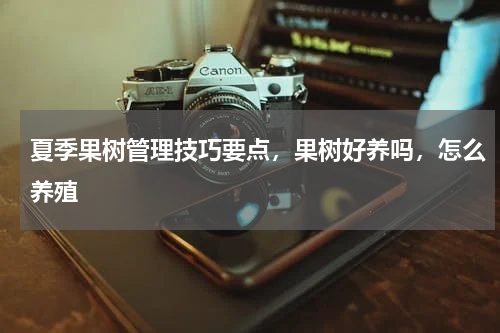 夏季果树管理技巧要点，果树好养吗，怎么养殖