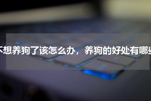 不想养狗了该怎么办，养狗的好处有哪些