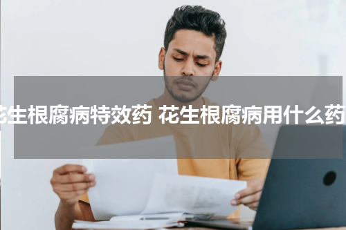花生根腐病特效药 花生根腐病用什么药