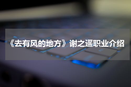 《去有风的地方》谢之遥职业介绍