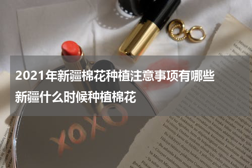 2021年新疆棉花种植注意事项有哪些 新疆什么时候种植棉花