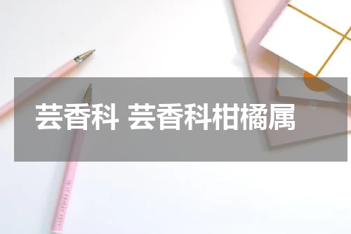 芸香科 芸香科柑橘属