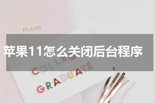 苹果11怎么关闭后台程序