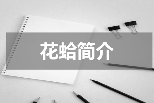 花蛤简介