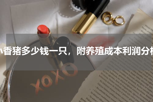 小香猪多少钱一只，附养殖成本利润分析
