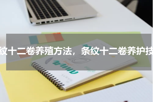 条纹十二卷养殖方法，条纹十二卷养护技巧