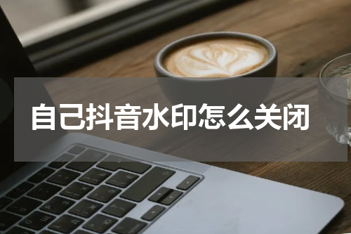  自己抖音水印怎么关闭
