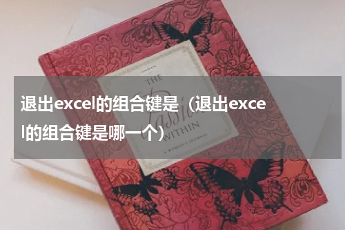 退出excel的组合键是（退出excel的组合键是哪一个）