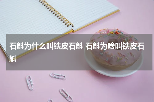 石斛为什么叫铁皮石斛 石斛为啥叫铁皮石斛