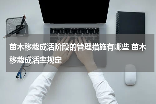 苗木移栽成活阶段的管理措施有哪些 苗木移栽成活率规定
