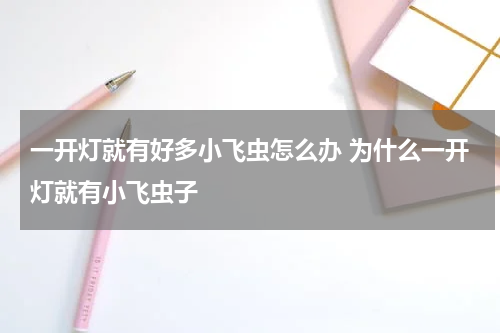 一开灯就有好多小飞虫怎么办 为什么一开灯就有小飞虫子