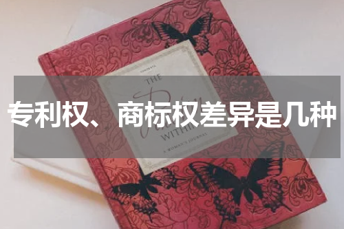 专利权、商标权差异是几种