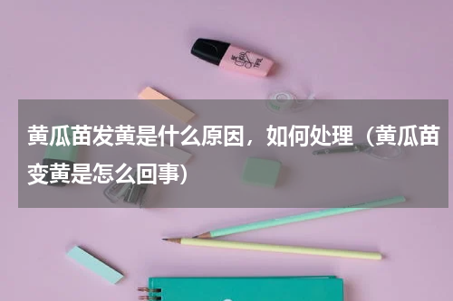黄瓜苗发黄是什么原因，如何处理（黄瓜苗变黄是怎么回事）