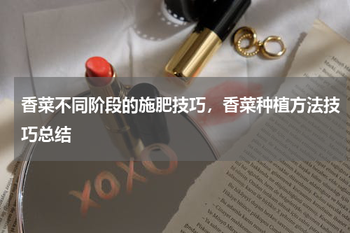 香菜不同阶段的施肥技巧，香菜种植方法技巧总结