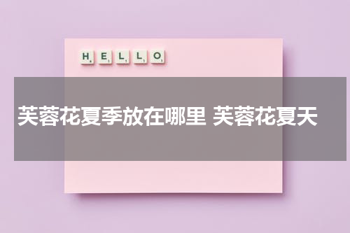 芙蓉花夏季放在哪里 芙蓉花夏天