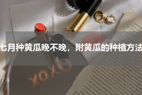 七月种黄瓜晚不晚，附黄瓜的种植方法