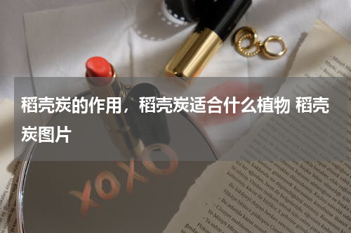 稻壳炭的作用，稻壳炭适合什么植物 稻壳炭图片