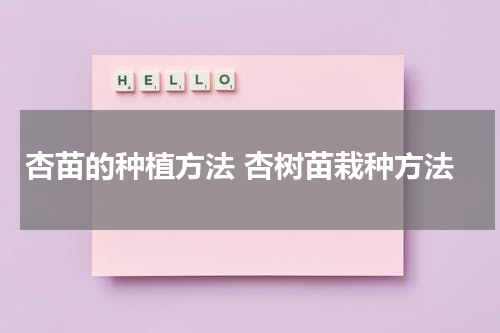 杏苗的种植方法 杏树苗栽种方法