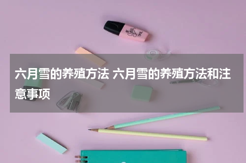 六月雪的养殖方法 六月雪的养殖方法和注意事项