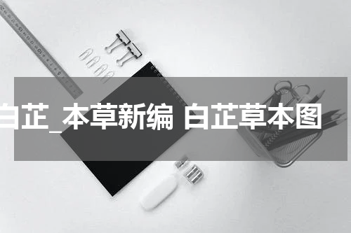白芷_本草新编 白芷草本图