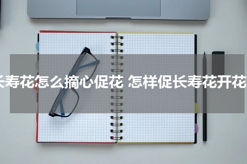长寿花怎么摘心促花 怎样促长寿花开花