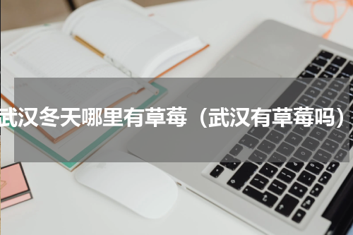 武汉冬天哪里有草莓（武汉有草莓吗）