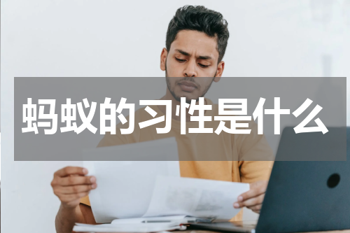 蚂蚁的习性是什么
