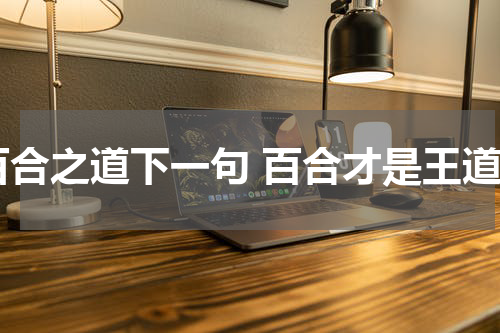 百合之道下一句 百合才是王道
