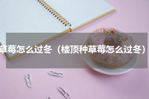 草莓怎么过冬（楼顶种草莓怎么过冬）