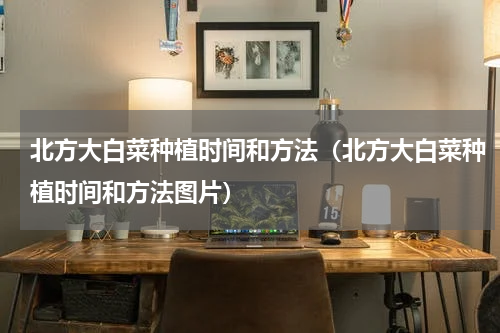 北方大白菜种植时间和方法（北方大白菜种植时间和方法图片）