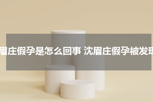 沈眉庄假孕是怎么回事 沈眉庄假孕被发现