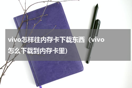 vivo怎样往内存卡下载东西（vivo怎么下载到内存卡里）