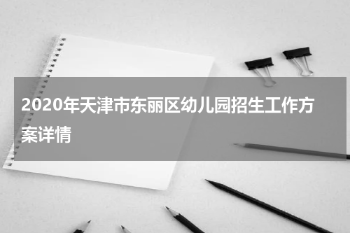 2020年天津市东丽区幼儿园招生工作方案详情