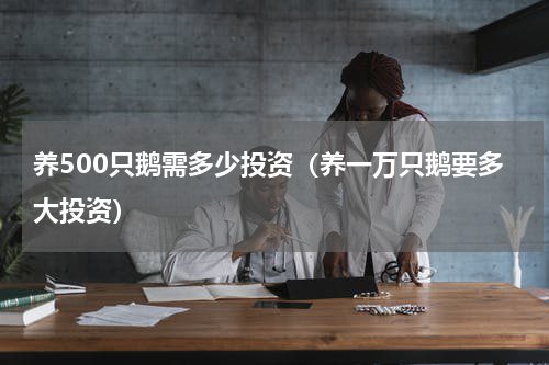 养500只鹅需多少投资（养一万只鹅要多大投资）