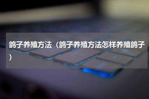 鸽子养殖方法（鸽子养殖方法怎样养殖鸽子）