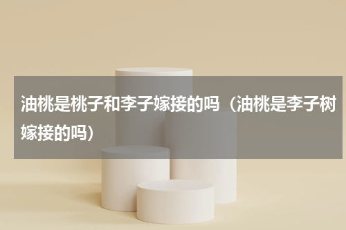 油桃是桃子和李子嫁接的吗（油桃是李子树嫁接的吗）