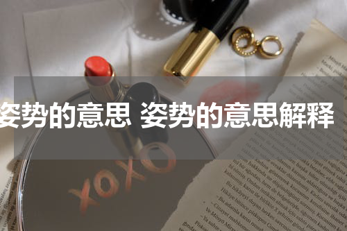 姿势的意思 姿势的意思解释
