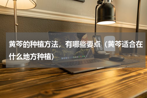 黄芩的种植方法，有哪些要点（黄芩适合在什么地方种植）