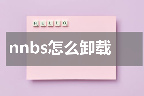 nnbs怎么卸载