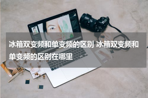 冰箱双变频和单变频的区别 冰箱双变频和单变频的区别在哪里