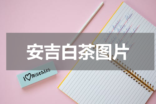 安吉白茶图片
