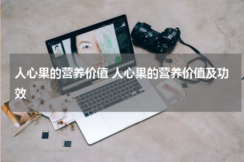 人心果的营养价值 人心果的营养价值及功效