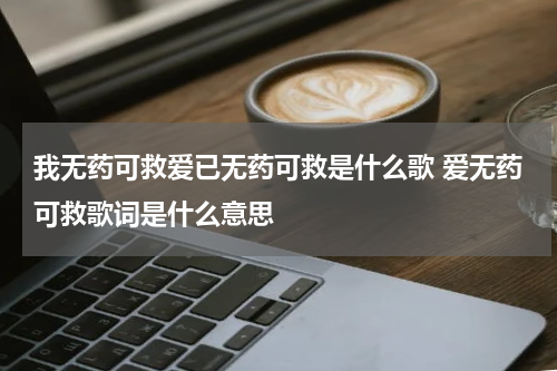 我无药可救爱已无药可救是什么歌 爱无药可救歌词是什么意思