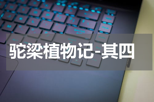 驼梁植物记-其四