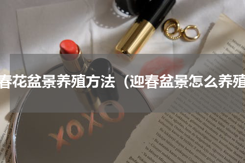 迎春花盆景养殖方法（迎春盆景怎么养殖）