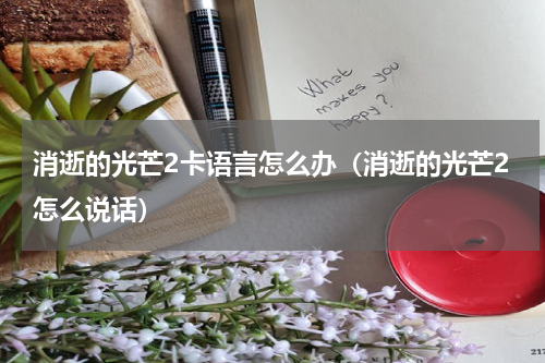 消逝的光芒2卡语言怎么办（消逝的光芒2怎么说话）