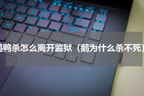 鹅鸭杀怎么离开监狱（鹅为什么杀不死）