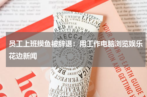 员工上班摸鱼被辞退：用工作电脑浏览娱乐花边新闻