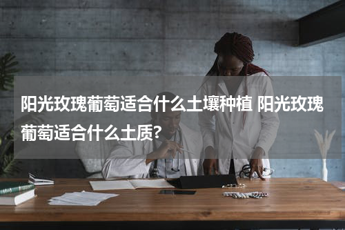 阳光玫瑰葡萄适合什么土壤种植 阳光玫瑰葡萄适合什么土质?