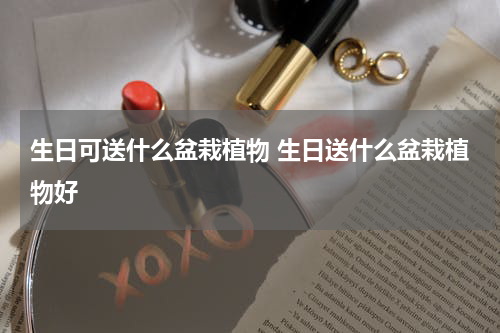 生日可送什么盆栽植物 生日送什么盆栽植物好